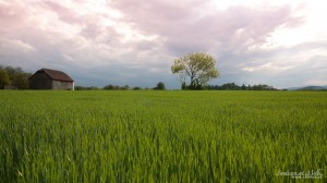 SundownAtMelk SundownAtMelk